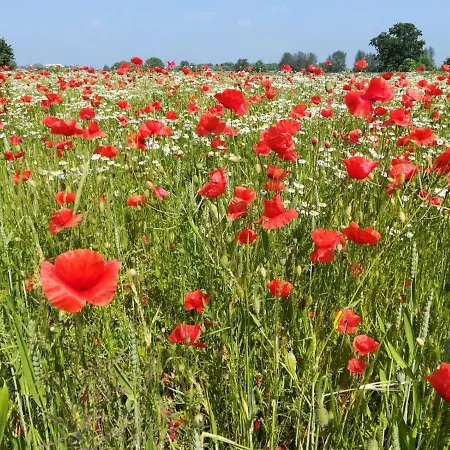 Urlaub Bei Familie Lasch Appartement